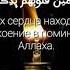 Сура Ар Раад Аяты 28 Чтец Абдурахман Масад