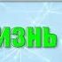 Александр Черпаков Альбом Наша жизнь Христос Христианская Музыка