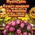 Доброе утро солнышко