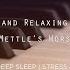 Instrumental Prayer Worship Meditation Soaking Music Of JOE Mettle S Worship Songs