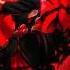 Eddie Rath Itachi Mangekyou In The Eyes