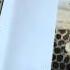 Top Bar Hive Beekeeping Book By W A Mangum