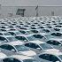 BYD Builds The World S Largest EV Factory 10 Time Larger Than Tesla S