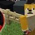 OBIT MEMBUAT PETERNAKAN DEKAT RUMAH Minecraft Survival 3