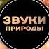Японский сад