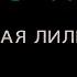 RADIO TAPOK Белая Лилия Караоке