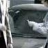 Schweppes Parking Ticket Ad