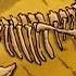 Dinosaurs The Busasaurus Full Episode The Magic School Bus