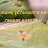 кошка услышала звук как пищат котята и подумала что это её дети