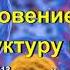 Ченнелинг Миротворци Проникновение вирусов в структуру кожи Вирусы и Законы Абсолюта 06 06 2013