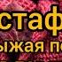 Вязание TAG эстафета Осень рыжая подружка помогает в повязушках Болталка 15 08 2020г