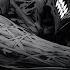 DAGON
