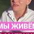 Что сделать чтобы выйти из матрицы Наталья Грэйс матрица Shorts осознанность чувства