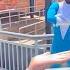 LIVE Incredicoaster Ft FROZONE