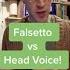 Falsetto Vs Head Voice
