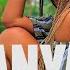 Bruce Melodie AMANYASHI Element Eleeéh Type Beat New Song Rwanda2025