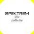 Spektrem Shine Neddie Flip NCS Remake Album