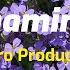 YoBro Production Shaming