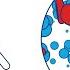What Is Diabetes 2 Minute Guide Diabetes UK
