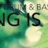 Spring Is Here Liquid Drum Bass Mix