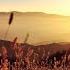 Track 71 Arabic Nasheed Ya Ragaee O My Hope Allah Mohammed Almuqit Islamic Stereo