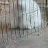 Kits Angora Angorarabbit Rabbits