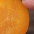 Cured Egg Yolk