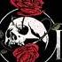 Jimi Rose Never Again Official Audio