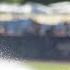 The Leadoff Keep Your Grass Green During A Heat Wave