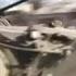 Russian Terrorists Captured Debaltseve 3 Days After Ceasefire Agreements Came Into Effect