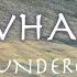 THUNDERCAT It Is What It Is Lyrics 和訳 Released 2020