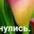 Пусть Бог Тебя Хранит