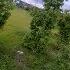 Энерджайзер FPV Freestyle
