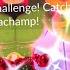 40 Shiny Gigantamax Machamp Battles THIS Is What We Got Pokémon GO