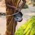 Aka Balti Pani Lao Re Funny Short Viral Video Trending