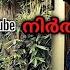 Bacardi Ginger Rum LEMOUNT White Brandy Liquor Price Kerala Food Vlog Malayalam Malayalam Vellamadi