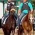 The Final Morning Of Training Ahead Of The 2025 Belmont Stakes