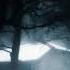 Forest 10 Hours Dark Ambient