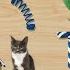 CAT Games Ultimate Cat Toy Compilation Vol 8 50 игр в 1 8 ЧАСОВ