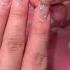 Doing My Nails In My Car Nails Pressonnails Beauty Beautyhacks