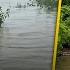 Brahmaputra River Crosses Danger Mark In Dibrugarh Houses In Low Lying Areas Inundated
