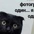 Бич я Борат я в Казахстане