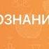 Обществознание 6 класс Конфликты