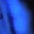 Erule Listen Up HD