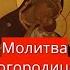 Молитва Богородице Умиление