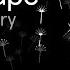 40 Minute Meditation Soundscape Endel App