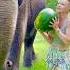 Will She Bite It Or Step On It Animal Elephant Animallover