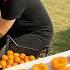 How Grandma Dries Apricots Under The Sun Village Life Apricot Jam