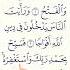 Surah An Nasr Egzon Ibrahimi Quran Egzonibrahimi Shorts