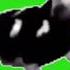 Polish Cow Dancing Greenscreen But Its Distorted